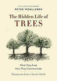 The Hidden Life of Trees