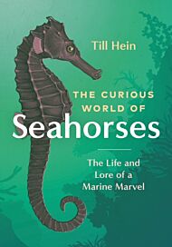 The Curious World of Seahorses