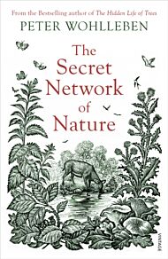 The Secret Network of Nature