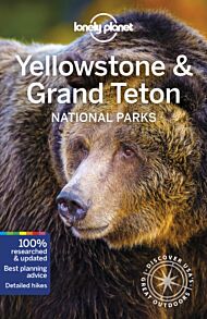 Yellowstone & Grand Teton National Park