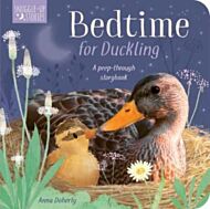 Bedtime for Duckling