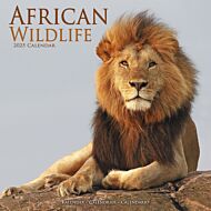 Kalender 2025 African Wildlife 30x30cm