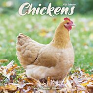 Kalender 2025 Chickens 30x30cm