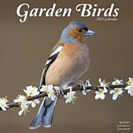 Kalender 2025 Garden Birds 30x30cm