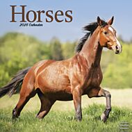 Kalender 2025 Horses 30x30cm