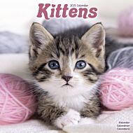 Kalender 2025 Kittens 30x30cm