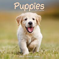 Kalender 2025 Puppies 30x30cm