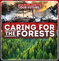 Caring for the Forests