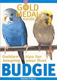 Budgie