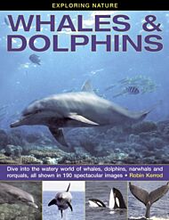 Exploring Nature: Whales & Dolphins