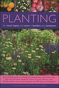 Planting for Visual Impact and Scent in Borders and Containers