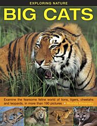 Exploring Nature: Big Cats