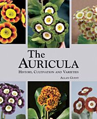 Auricula: History, Cultivation and Varieties