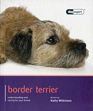 Border Terrier - Dog Expert