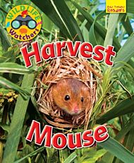 Wildlife Watchers: Harvest Mouse