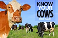 Know Your Cows