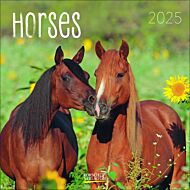 Kalender 2025 Horses 30x30cm