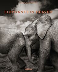 Elephants in Heaven