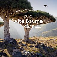 Kalender 2025 Old trees 30x30cm