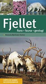 Fjellet