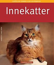 Innekatter