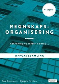 Regnskapsorganisering