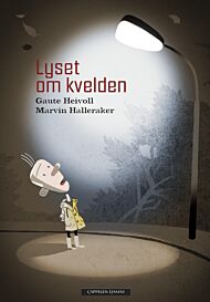 Lyset om kvelden