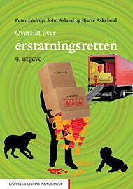 Oversikt over erstatningsretten