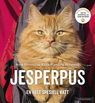 Jesperpus