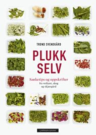 Plukk selv