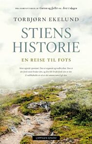 Stiens historie