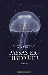 Passasjerhistorier