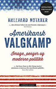 Amerikansk valgkamp