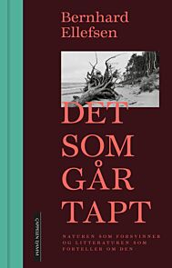 Det som går tapt