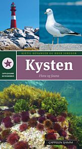 Kysten