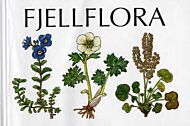 Fjellflora