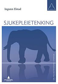 Sjukepleietenkning