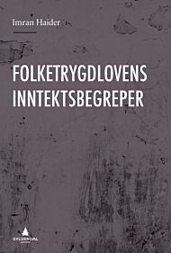 Folketrygdlovens inntektsbegreper