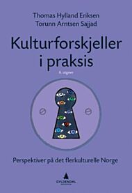 Kulturforskjeller i praksis