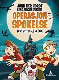 Operasjon Spøkelse