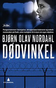 Dødvinkel