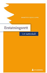 Erstatningsrett i et nøtteskall