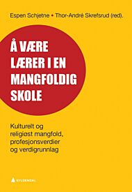 Å være lærer i en mangfoldig skole