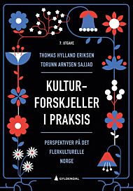 Kulturforskjeller i praksis