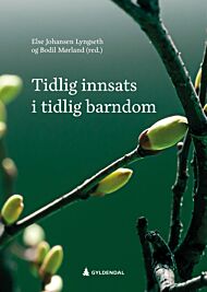 Tidlig innsats i tidlig barndom