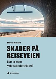 Skader på reiseveien