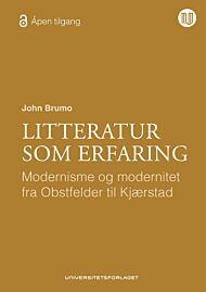 Litteratur som erfaring