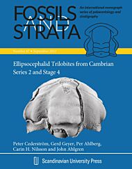 Ellipsocephalid trilobites from Cambrian Series 2 and Stage 4, with emphasis on the taxonomy, morpho