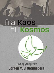 Fra kaos til kosmos