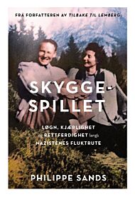 Skyggespillet